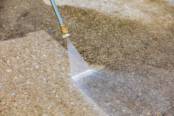 Best Dumpster Area Cleaning  in , MO